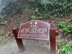 -缙云山景区