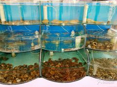 -沿海渔家院海鲜烧烤·东北菜(东戴河店)
