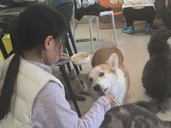 -平行世界·猫咖(首经贸店)