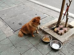 -福合沟无米粿甜汤粿品店
