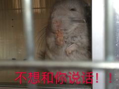 -苏渝轩面府(万达广场店)