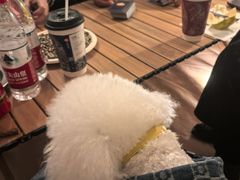 -不觉晓CAMPING(上海迪士尼营地店)