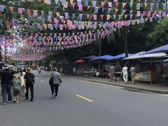 -西双版纳傣族园
