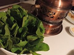 水煮鸡毛菜-初蓉丨遇见新川菜(亲贤街荣耀店)