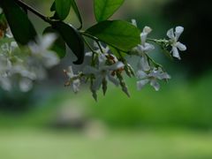 -厦门园林博览苑