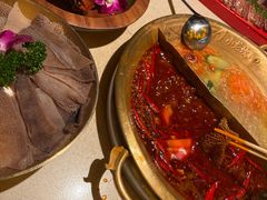 -小龙坎火锅(全球旗舰店)