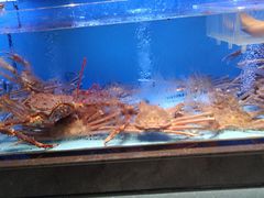 -阿伟海鲜楼·福建菜(延寿店)