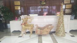 -弗蕾亚·和月月子调理院(东湖店)