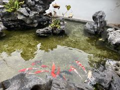 -道南書院·私房菜·早午茶·茶馆