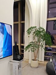 -JNK皮肤管理中心