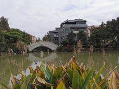 -东涌水乡风情街