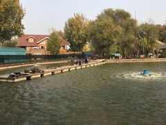 -酷鱼垂钓CLUB(朝阳区博大路店 )