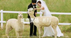 -北遇映画PHOTO GRAPHY STUDIO