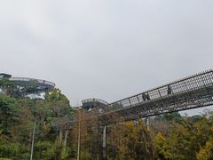 -福道