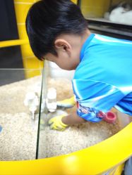 -神奇动物撸宠馆·羊驼·小浣熊·异宠(豫园店)