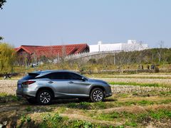 -广富林郊野公园