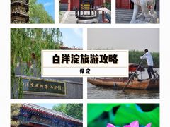 -白洋淀景区