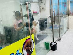 -乐琪宠物(青塔西路店)