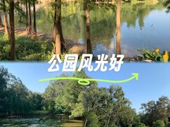 -广州雕塑公园