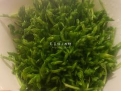 豆苗-海底捞火锅鲜切牛肉主题店(长寿路店)