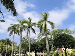 -厦门大学(思明校区)