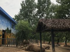 -西安秦岭野生动物园