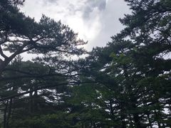 -黄山轩辕国际大酒店