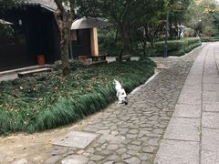 -法云安缦酒店