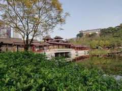 -重庆彩云湖湿地公园