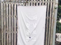-柑橘农场