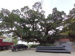 -北岐滩涂