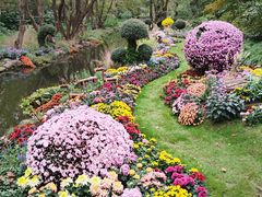 -共青国家森林公园-售票处