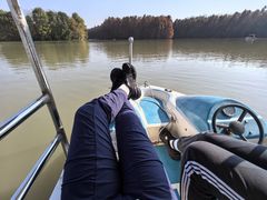 -上海海湾国家森林公园