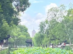 -拙政园