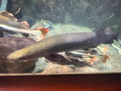 -太平洋海底世界