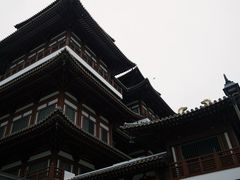 -新加坡佛牙寺龙华院