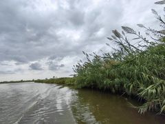 -宁波杭州湾国家湿地公园