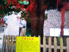 -木兰云雾山