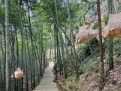 -石台牯牛降景区