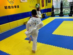 -哈喽实战跆拳道·跳绳·体能(慈云寺馆)