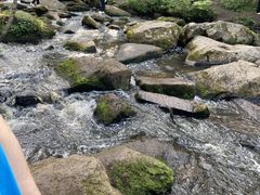 -汤旺河林海奇石景区