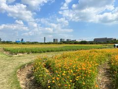 -长广溪湿地公园