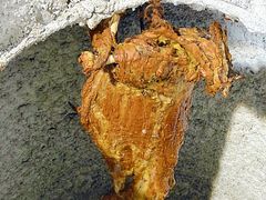 -双公羊·馕坑烤全羊(奥体店)