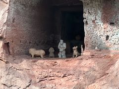 -乐山市博物馆