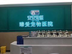 -安安宠医·臻爱宠物医院·宠保定点(营门口路分院)