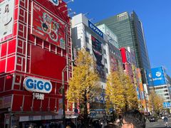 -秋叶原电器街
