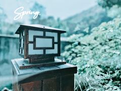 -随意茶庄·地道杭帮农家菜(梅家坞店)