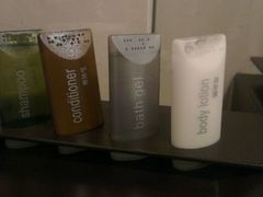 -国家会议中心大酒店