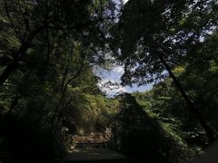 -王顺山国家森林公园