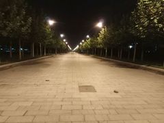 -南开大学滨海学院